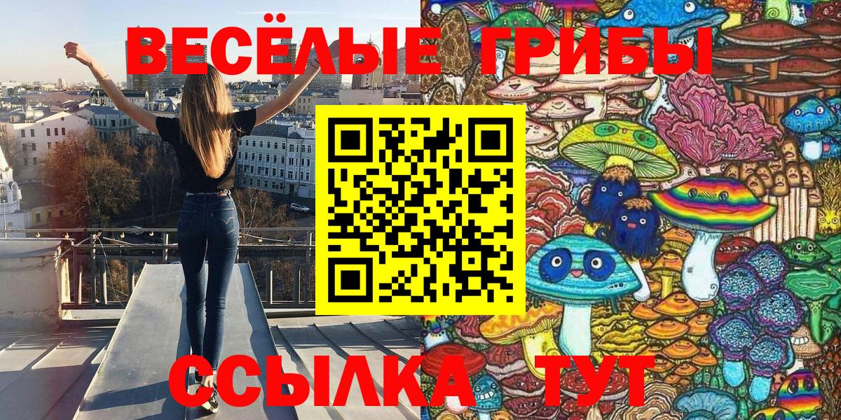 Югорск  Псилоцибиновые грибы Cubensis  Псилоцибиновые грибы Cubensis  Вход с VPN 